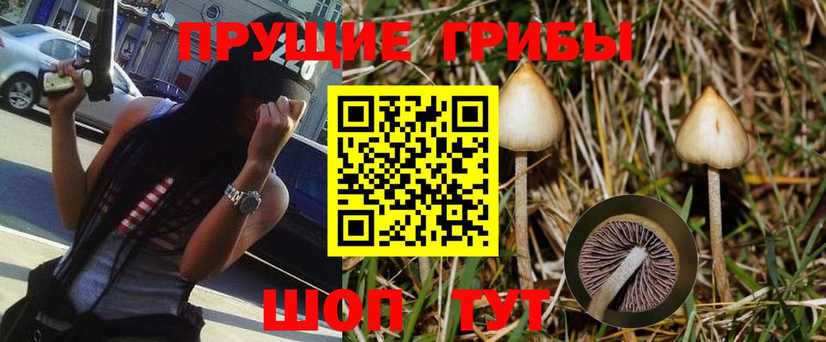 Псилоцибиновые грибы прущие грибы Качканар